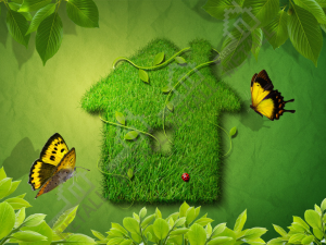 eco_princip